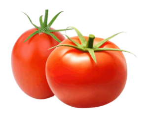 Tomato