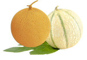 Muskmelon